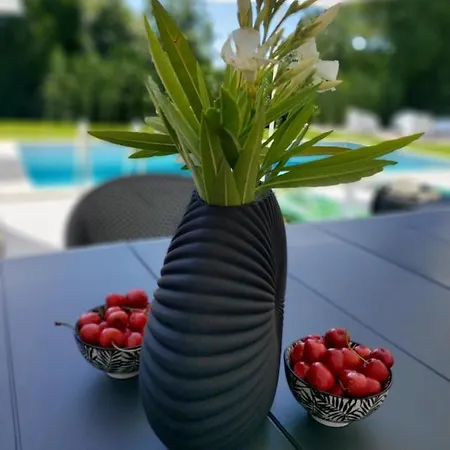 Villa Destiny Nedescina, Istrien, Kroatien Nedeščina