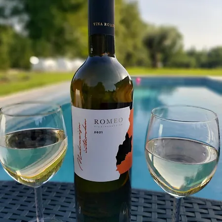 Destiny Nedescina, Istrien, Kroatien Villa